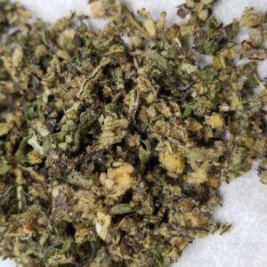 Changa DMT