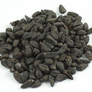 Morning Glory Seeds
