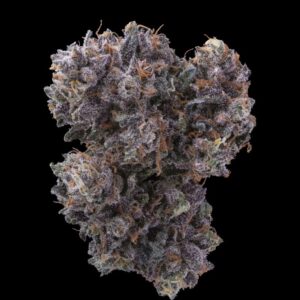 Feminized 6pk - Gelato33 x Gelato33